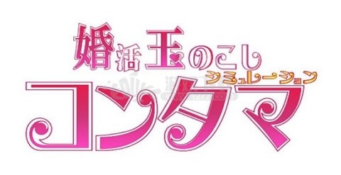相亲模拟大作战