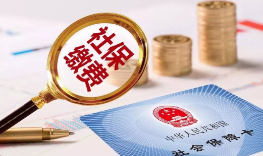 可以查社保医保养老的app有哪些