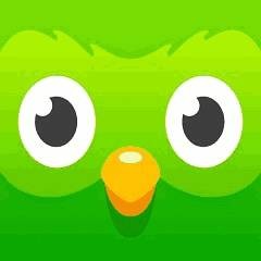 多邻国免费学英语app