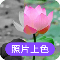 数创照片上色