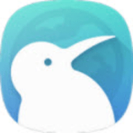 Kiwi Browser手机浏览器
