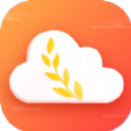 回弹计算器app