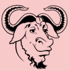 NativeTest(牛头检测)最新版本