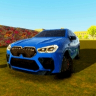 X6模拟器X6 Car Sim