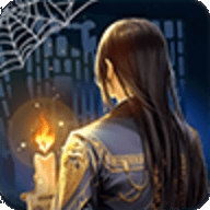 神探诸葛执官方版