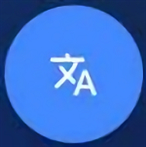 氩极随时译手表版