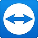 TeamViewerHost插件