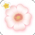 小花花阅读器