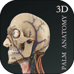 掌上3D解剖