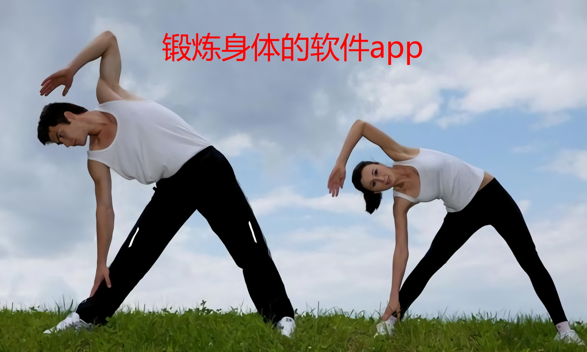 锻炼身体的软件app
