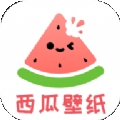 西瓜壁纸助手
