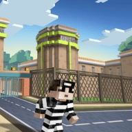copnrobber国际版