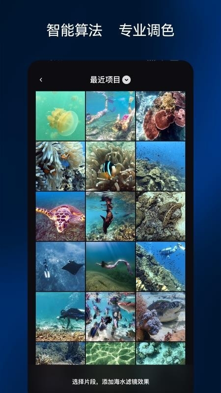 彩焦相机(ReefColor)