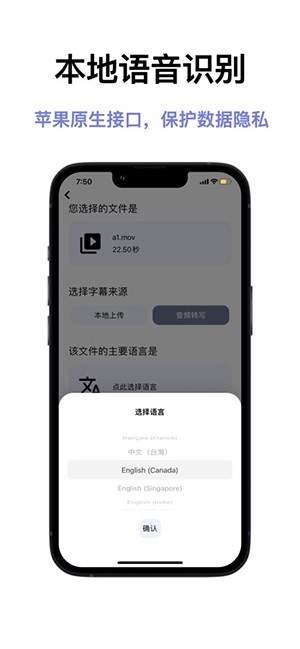 闪译