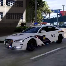 警察缉私巡查3D