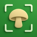识菇app