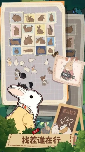 挤在一起的兔兔