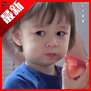 自行跑路2.0