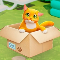 小小猫之家