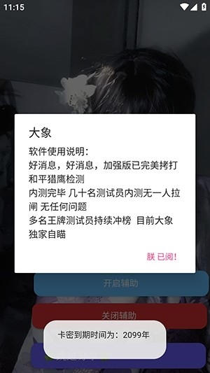 大象直装和平精英