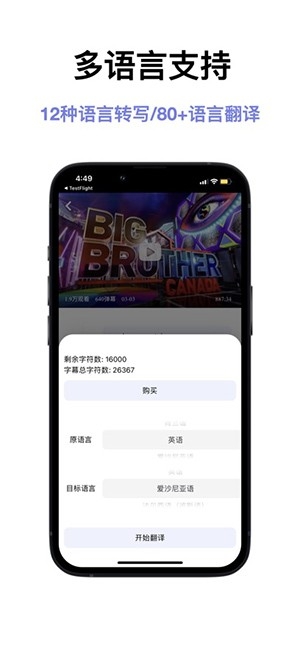 闪译
