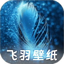 飞羽壁纸app v1.0.0