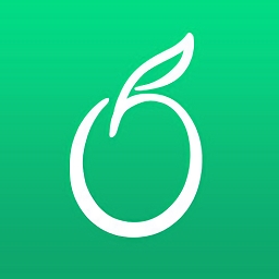 网易青果摄像机客户端