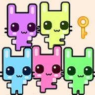 Cats Team