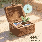 种梦相册盒