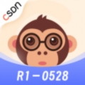 CSDN