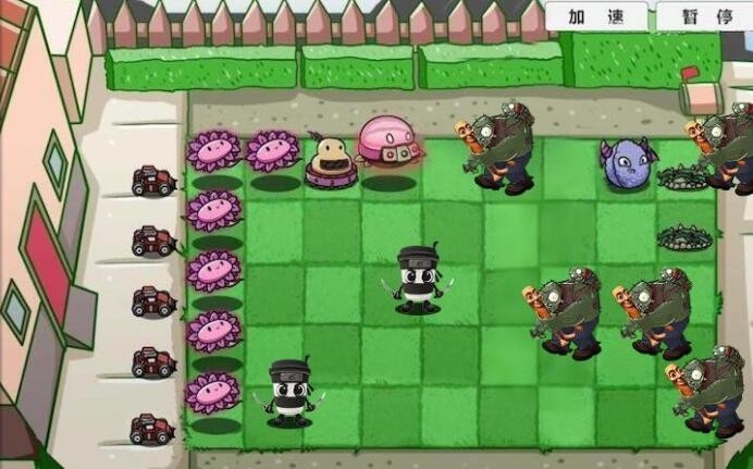 魔幻植物战僵尸