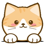 橘猫4k