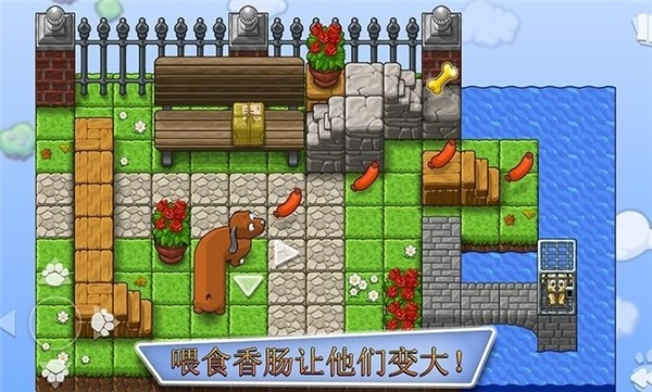 全家小狗救援队