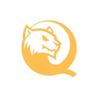 黑豹保险箱看视频