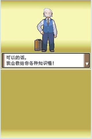 口袋妖怪白金版