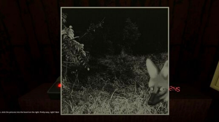 动物观察员中文版