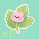 薄荷壁纸精灵app