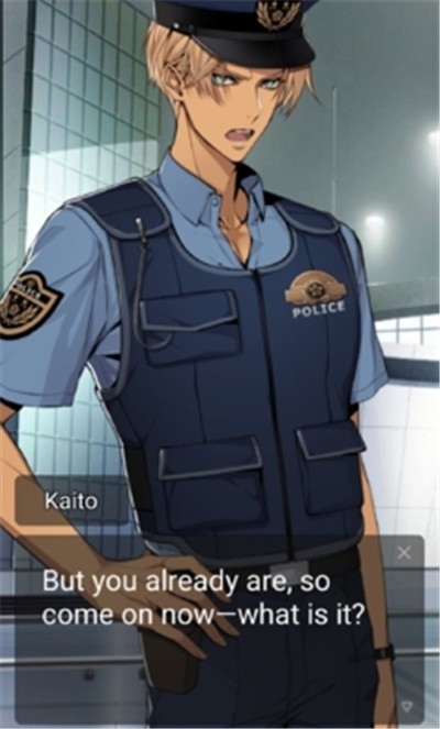 在东京追逐爱情