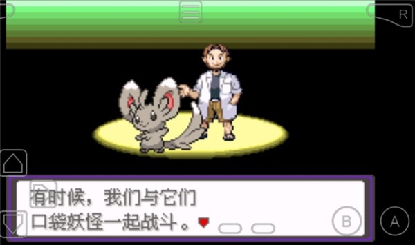 口袋妖怪漆黑的魅影5.0EX-BW