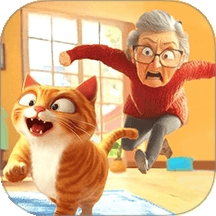 猫咪养成计划