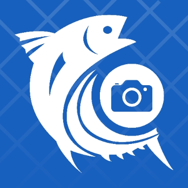 钓鱼预录相机app