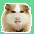 猪妞语音盒app
