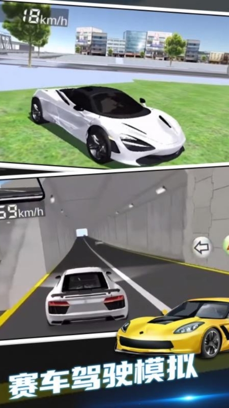 疯狂赛车驾驶模拟器