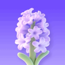 风信子花app