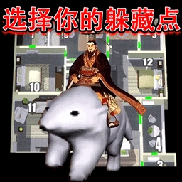 躲猫猫大高手