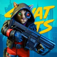 猫咪特工