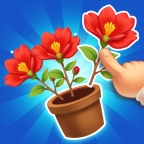 消个花朵吧