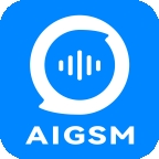 AIGSM