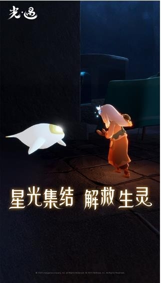 光遇白鸟全物品版