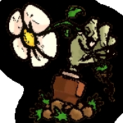 植物大战僵尸sIs版